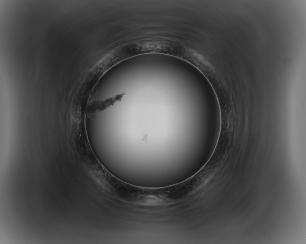 X0000086720737200704131044