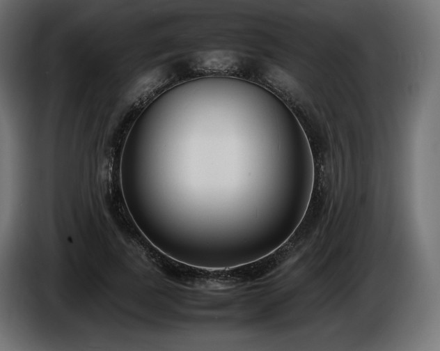 X0000086720739200704131044