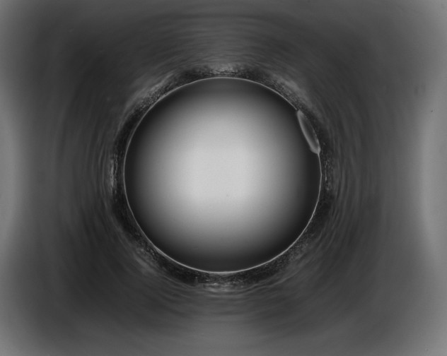 X0000086720740200704131044