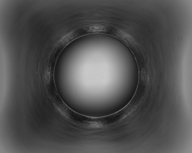 X0000086720741200704131044