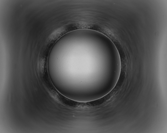 X0000086720742200704131044