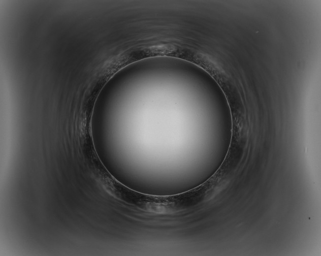 X0000086720745200704131044