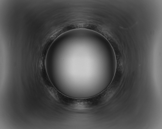 X0000086720746200704131044