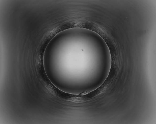 X0000086720748200704131044