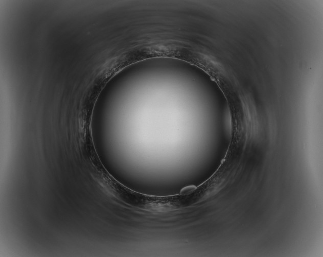 X0000086720749200704131044