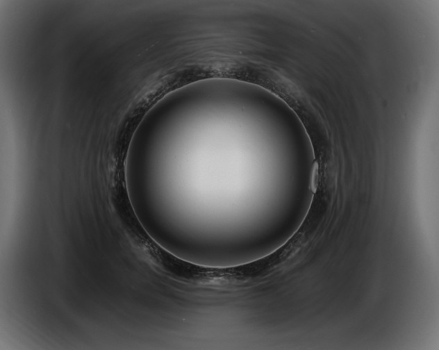 X0000086720750200704131044