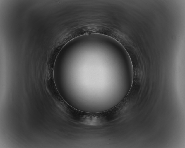 X0000086720751200704131044