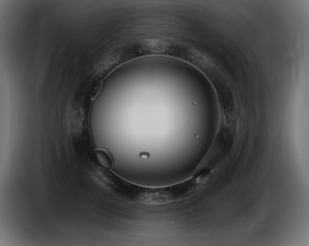 X0000086720752200704131044