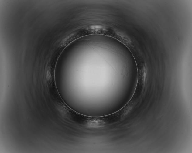 X0000086720754200704131044