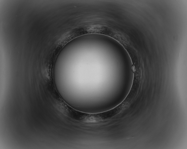 X0000086720755200704131044
