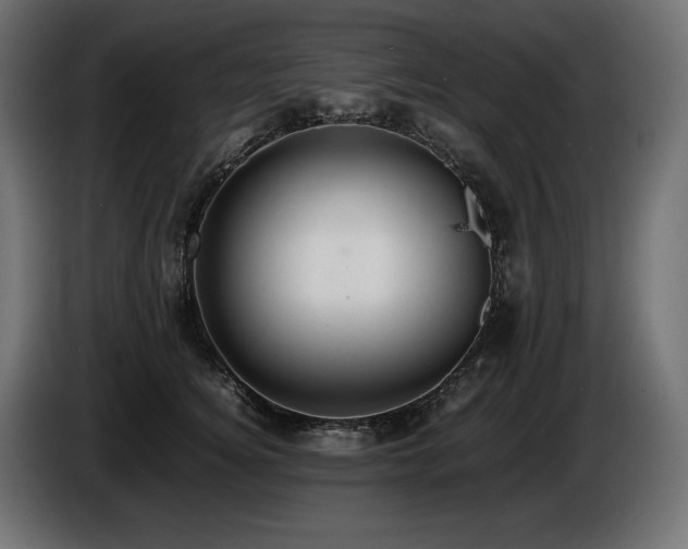 X0000086720756200704131044