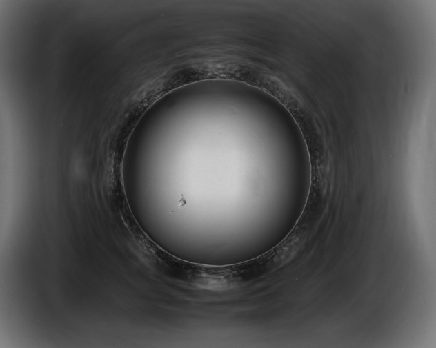 X0000086720757200704131044