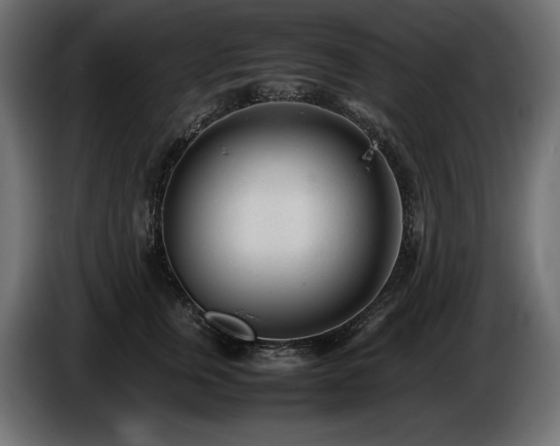 X0000086720759200704131044