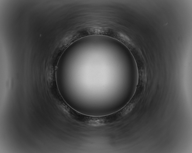 X0000086720760200704131044