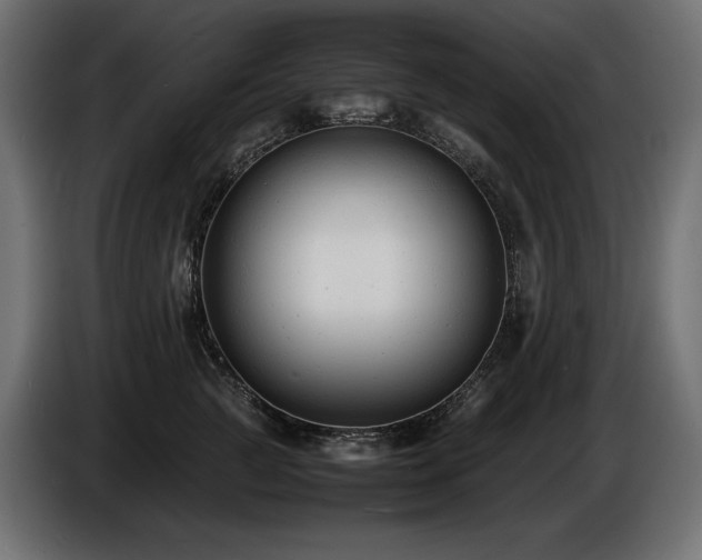 X0000086720761200704131044