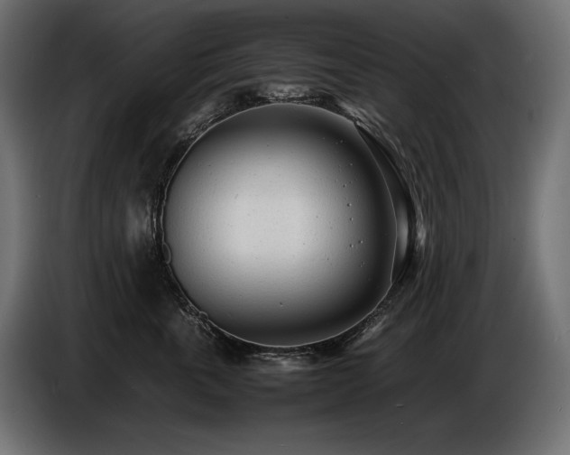 X0000086720763200704131044
