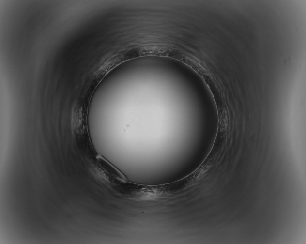 X0000086720764200704131044