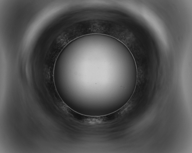 X0000086720765200704131044