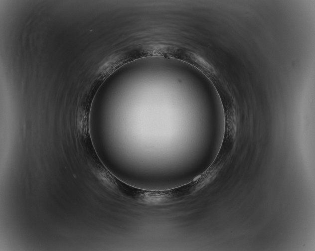 X0000086720766200704131044
