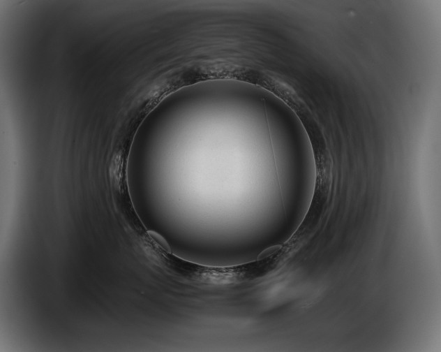X0000086720767200704131044