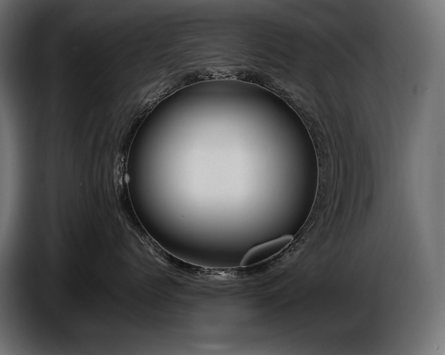 X0000086720768200704131044