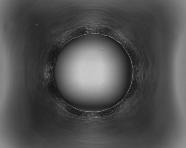 X0000086720770200704131043