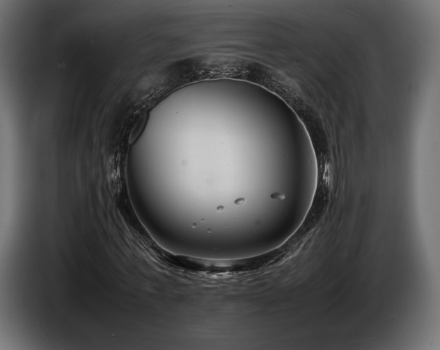 X0000086720771200704131043