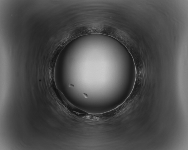 X0000086720772200704131043
