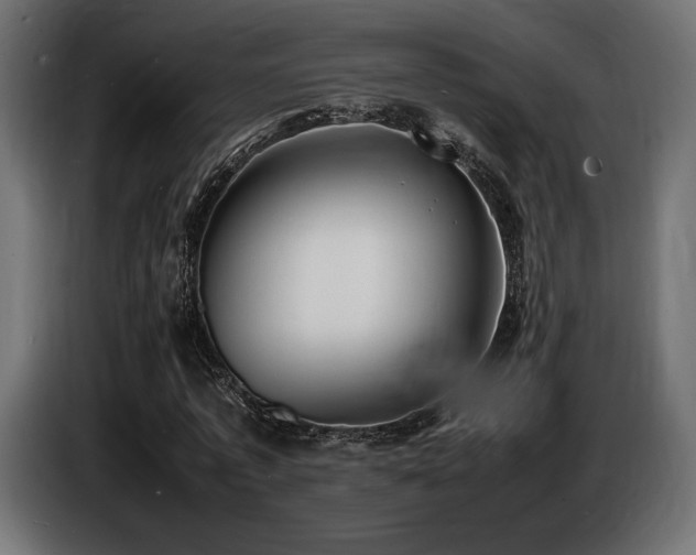 X0000086720773200704131043