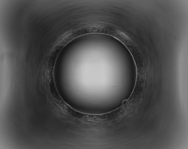X0000086720774200704131043