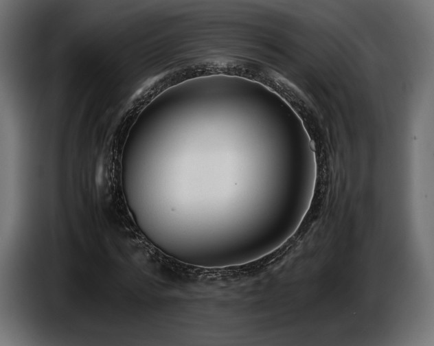 X0000086720776200704131043