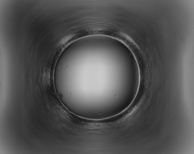 X0000086720777200704131043