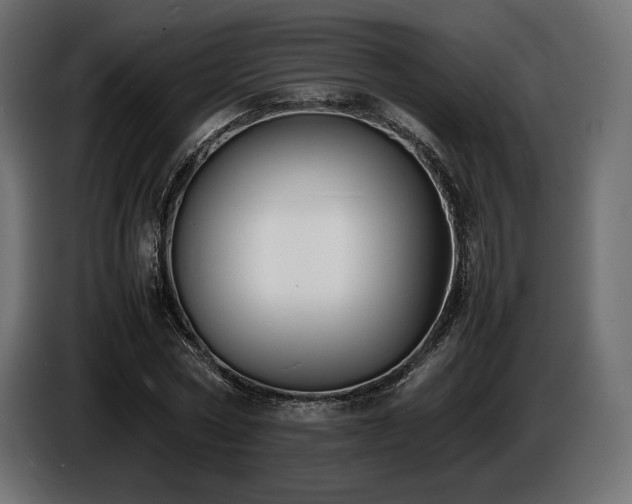 X0000086720778200704131043