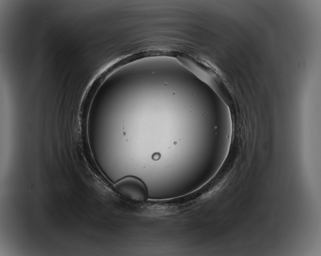 X0000086720779200704131043