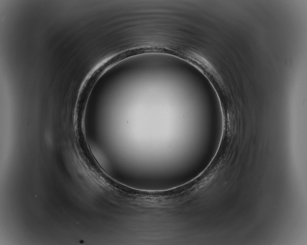 X0000086720780200704131043