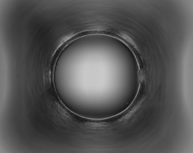 X0000086720781200704131043
