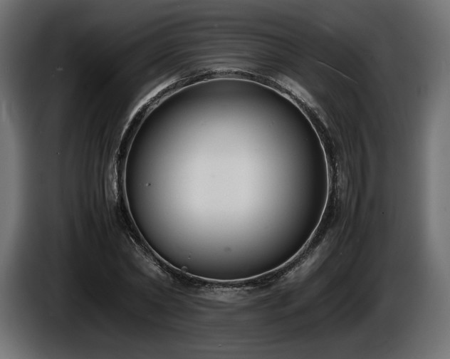 X0000086720782200704131043