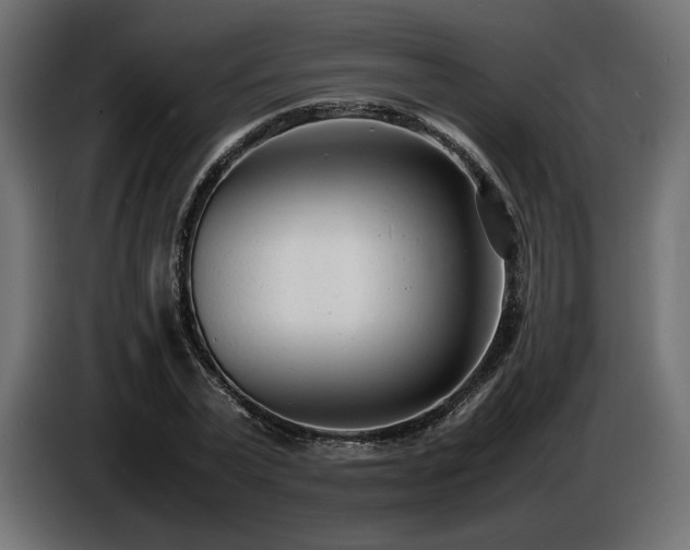 X0000086720783200704131043