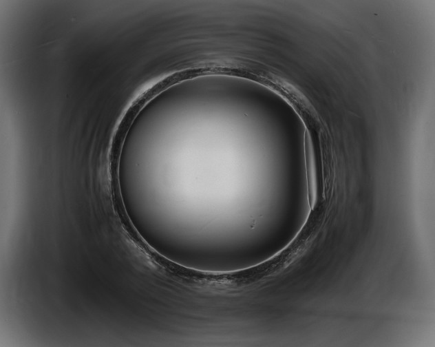 X0000086720784200704131043