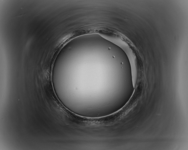 X0000086720785200704131043