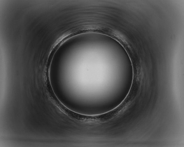 X0000086720786200704131043