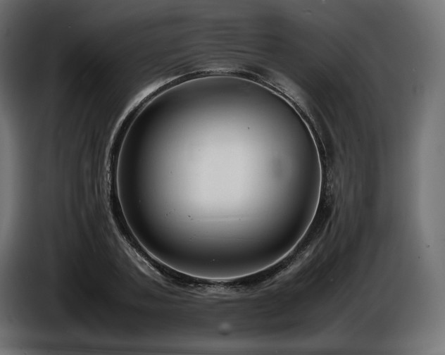 X0000086720787200704131043