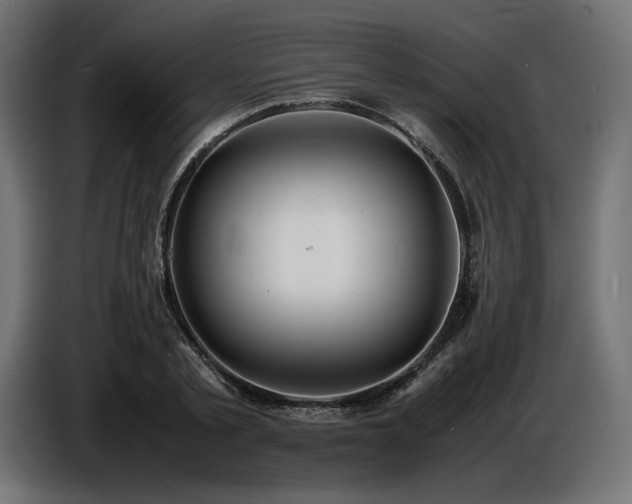 X0000086720789200704131043