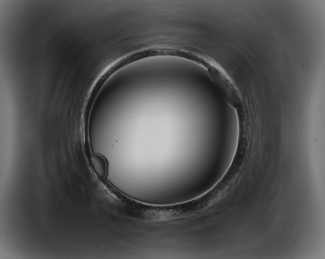 X0000086720791200704131043