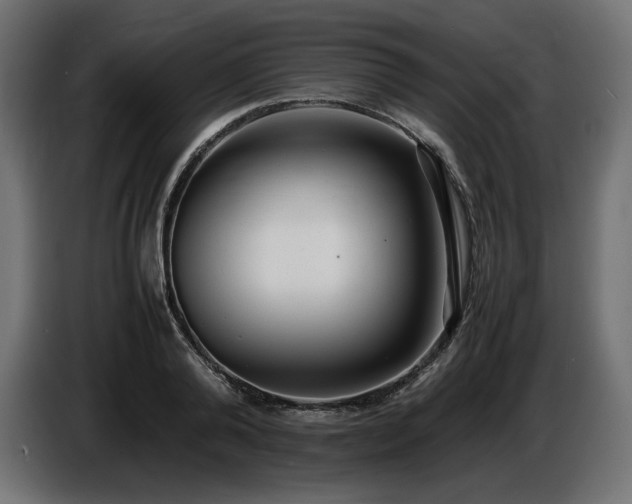 X0000086720792200704131043