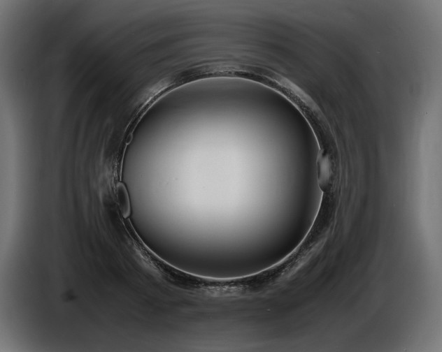 X0000086720793200704131043