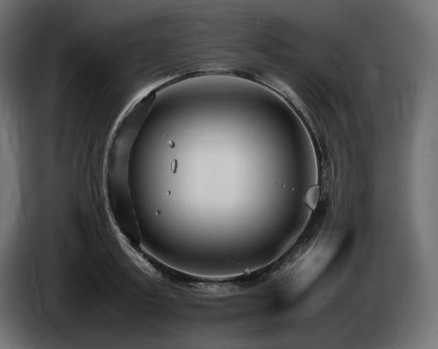 X0000086720795200704131043
