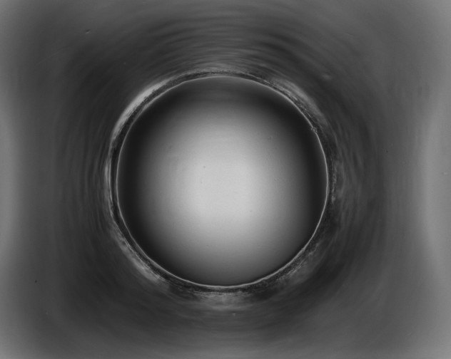 X0000086720796200704131043