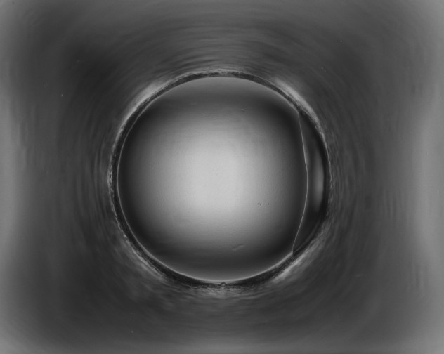 X0000086720797200704131043