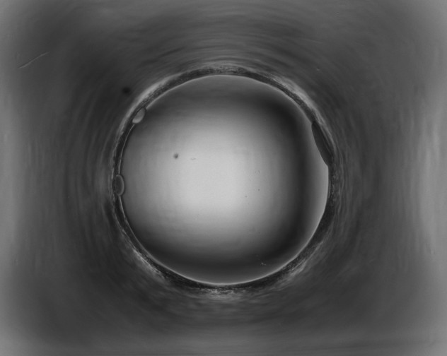 X0000086720799200704131043
